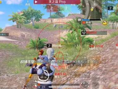 和平精英免费挂 锁头 透视网站 - 无需卡密在线体验